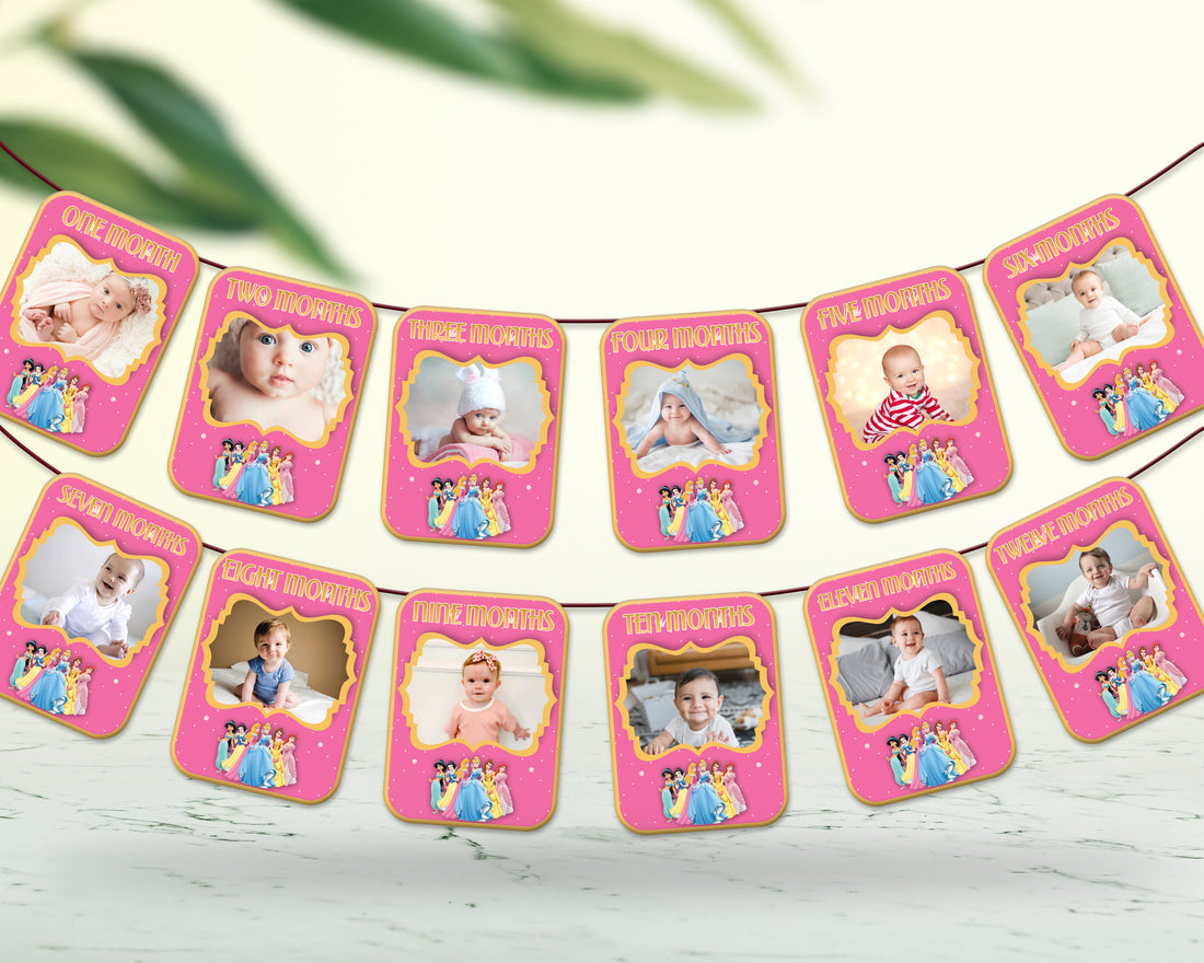 Princess Theme 12 Months Photo Banner