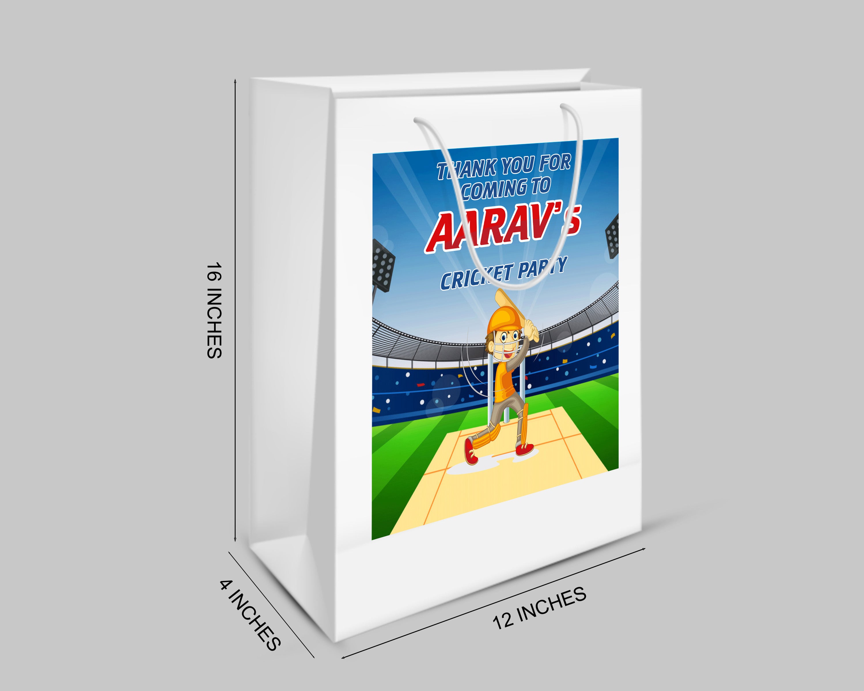 Cricket Theme Oversized Return Gift Bag