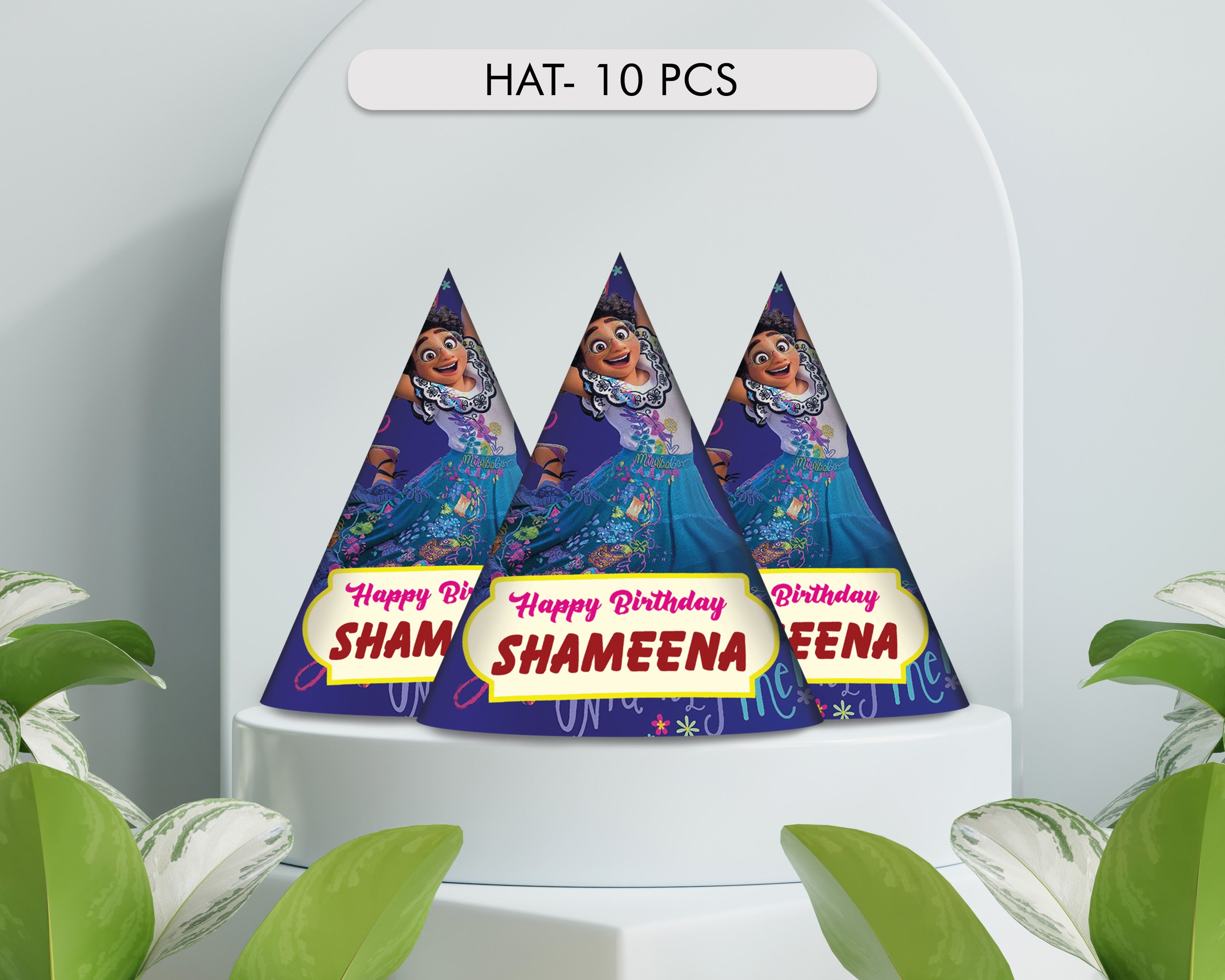 Encanto Theme Classic Combo Kit