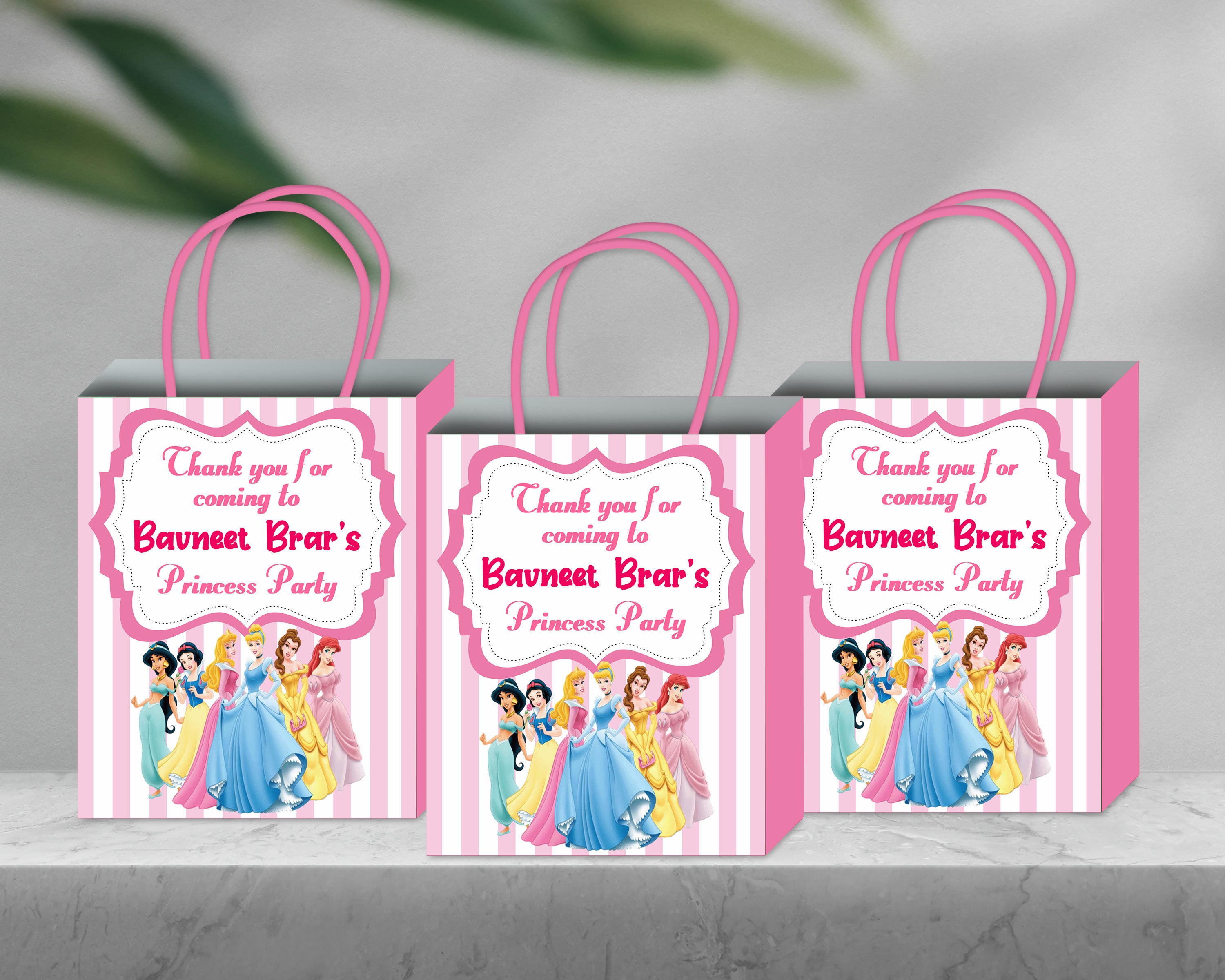 Princess Theme Return Gift Bag Party Supplies India Online