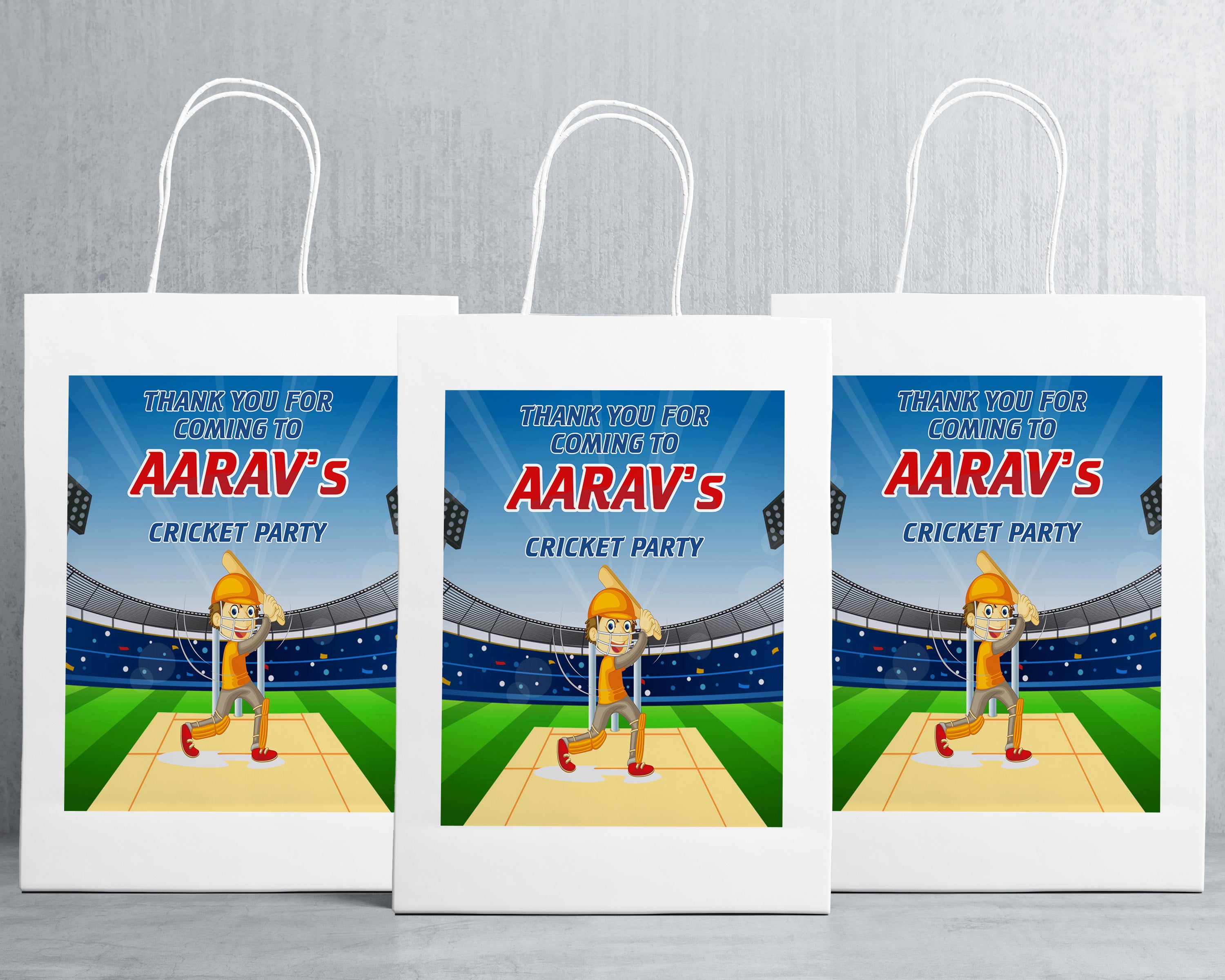 Cricket Theme Oversized Return Gift Bag