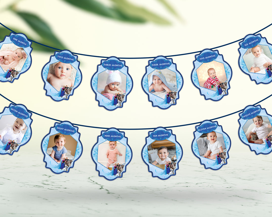 Frozen Theme 12 Months Photo Banner