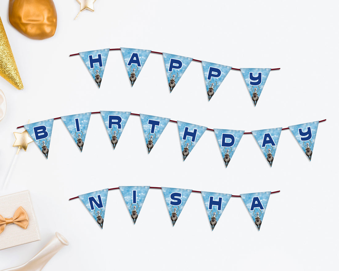 Frozen Theme Flag Hanging