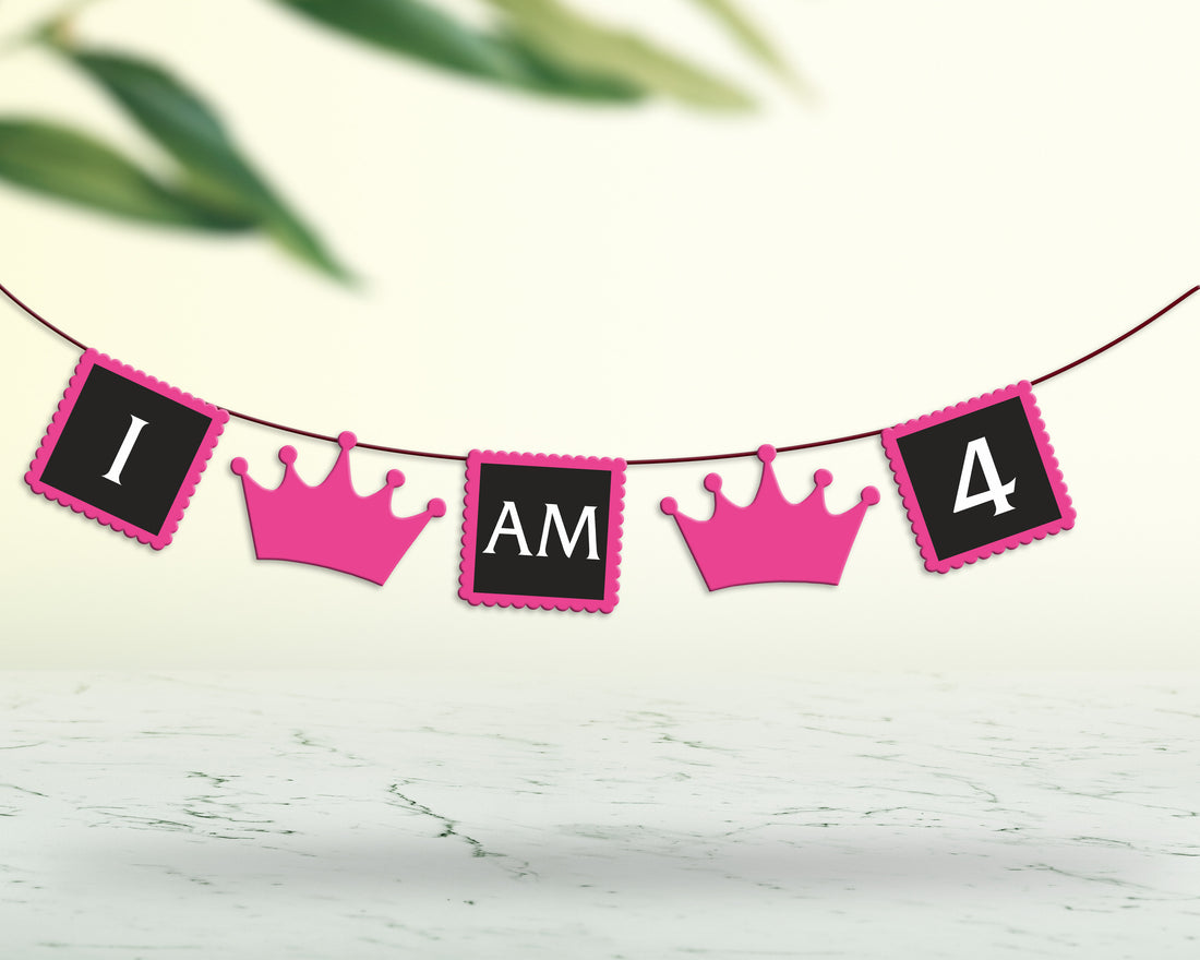 Princess Theme Personalized with Baby Age Hanging