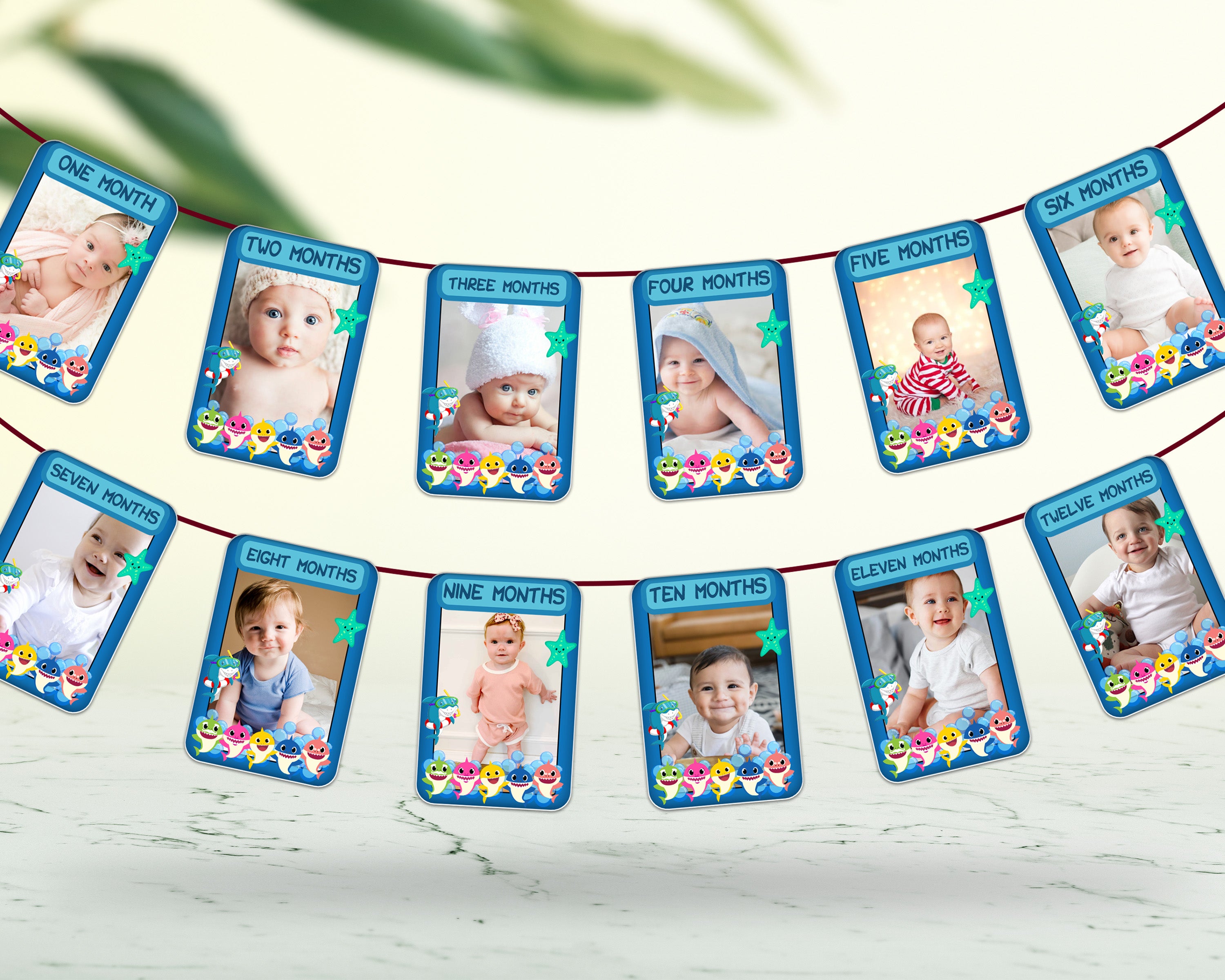 Shark Theme 12 Months Photo Banner