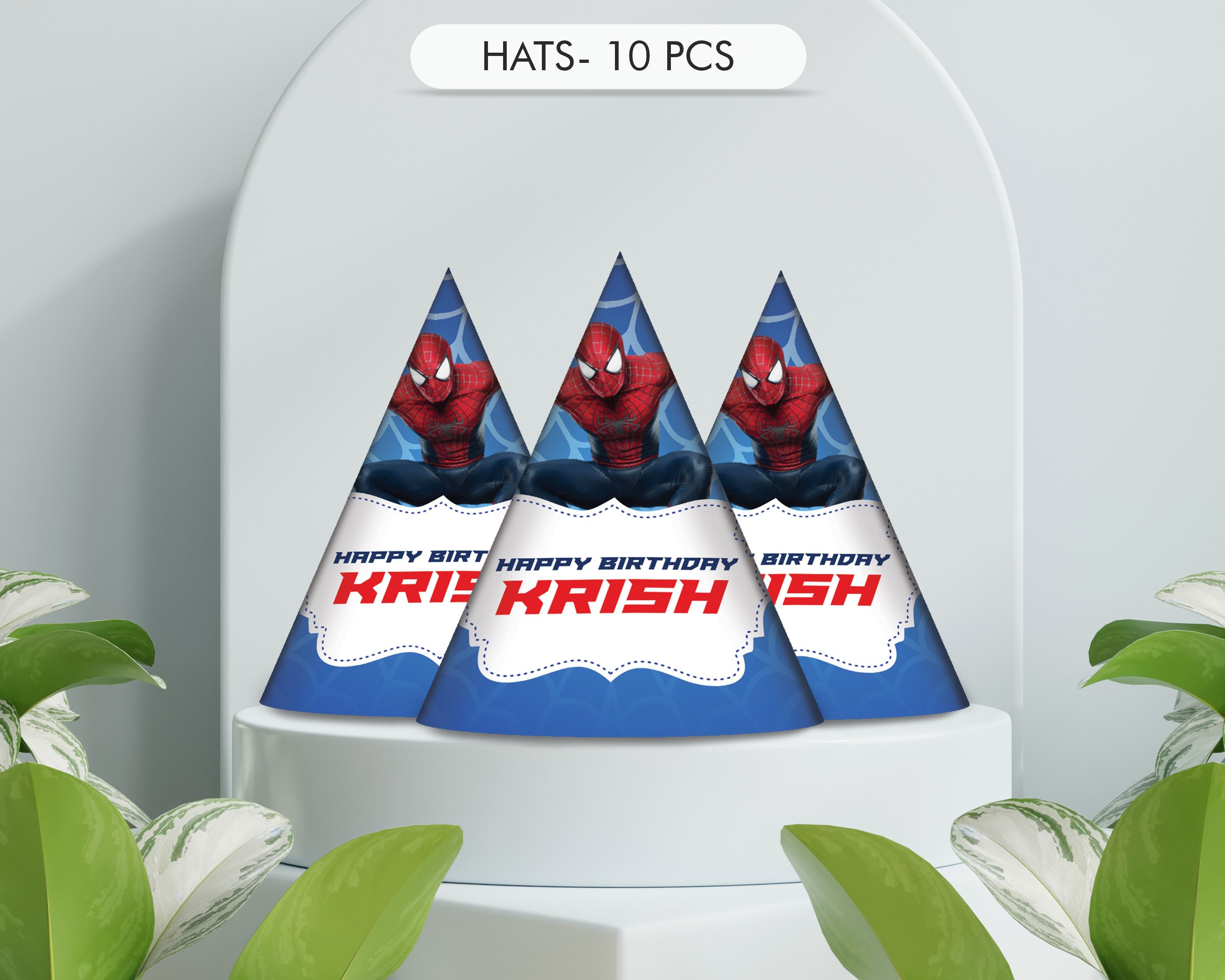 Spiderman Theme Classic combo Kit - image 12 of 14 | Party Supplies India
