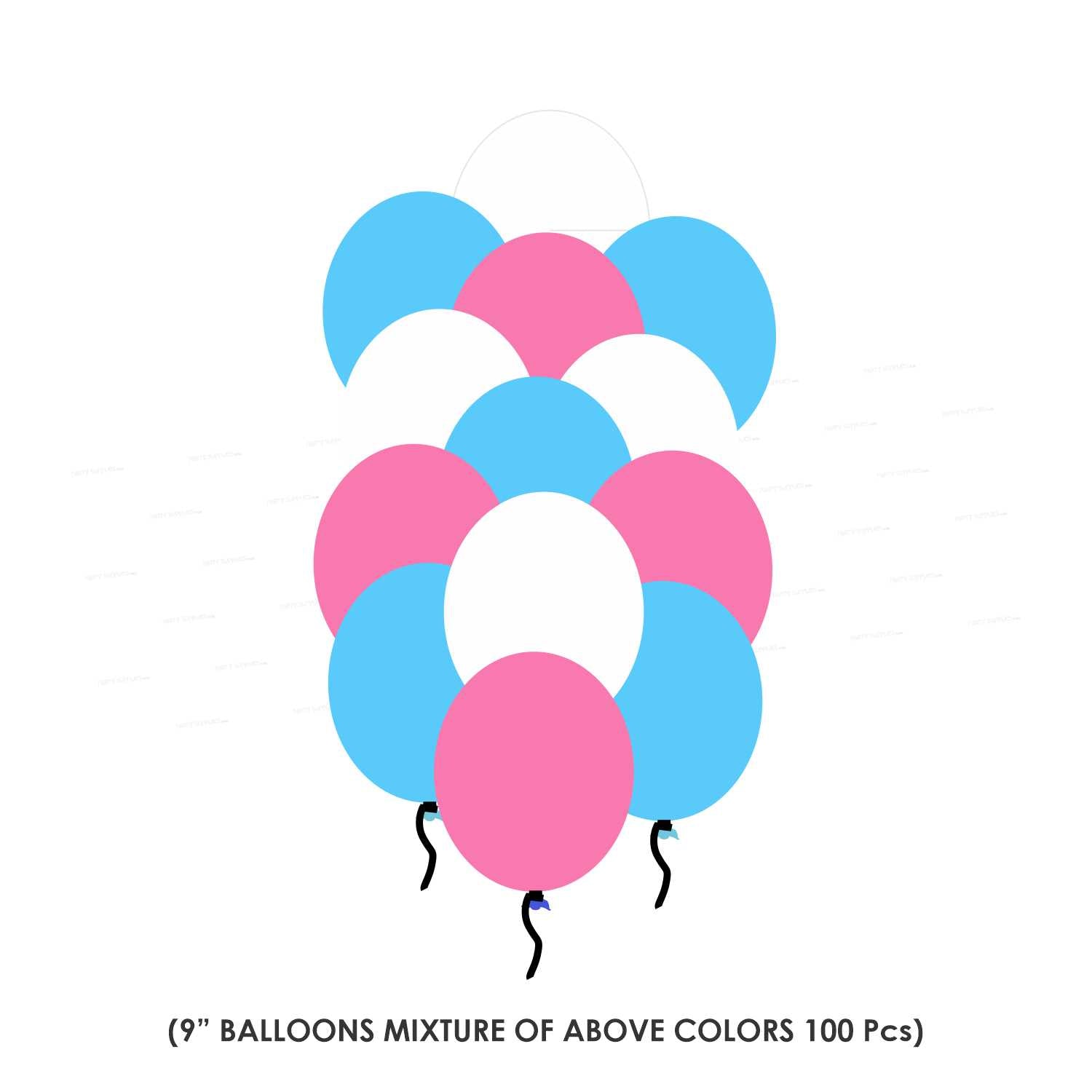 TWINKLE TWINKLE LITTLE STAR GIRL THEME PREMIUM KIT