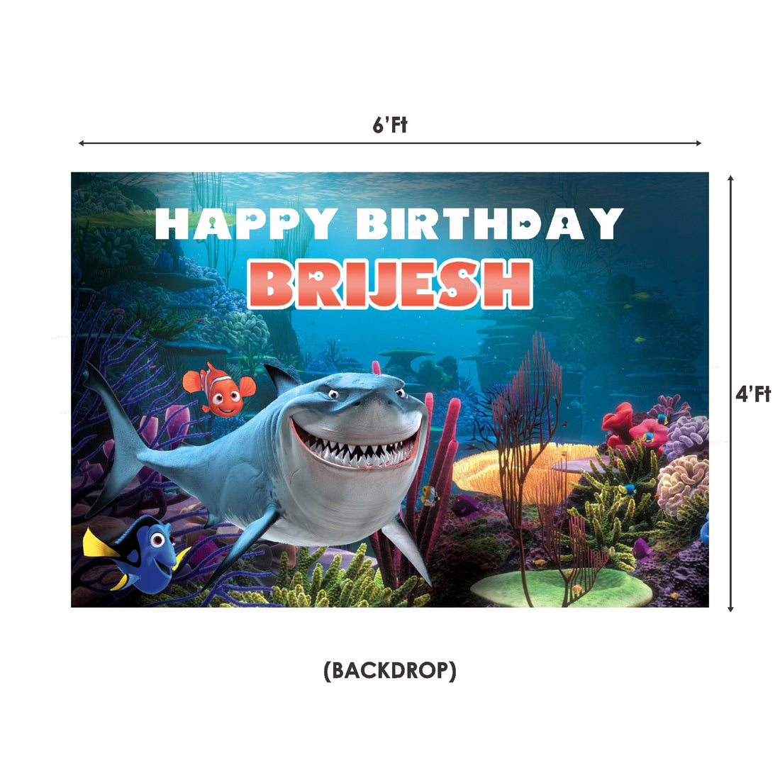 Nemo and Dory Theme Classic Kit