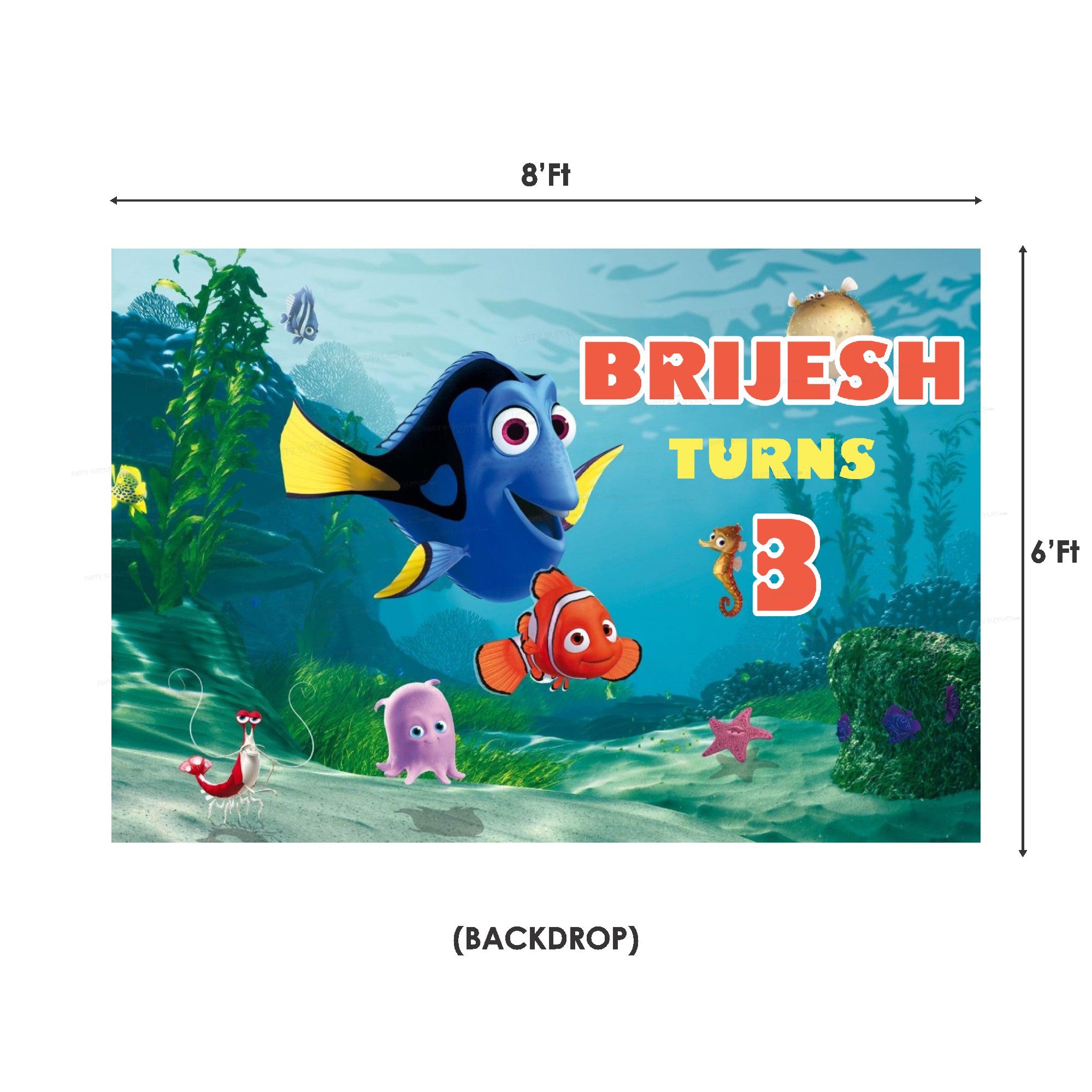 Nemo and Dory Theme Premium Kit