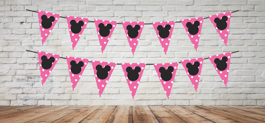 Minnie Mouse Theme Flag Hanging