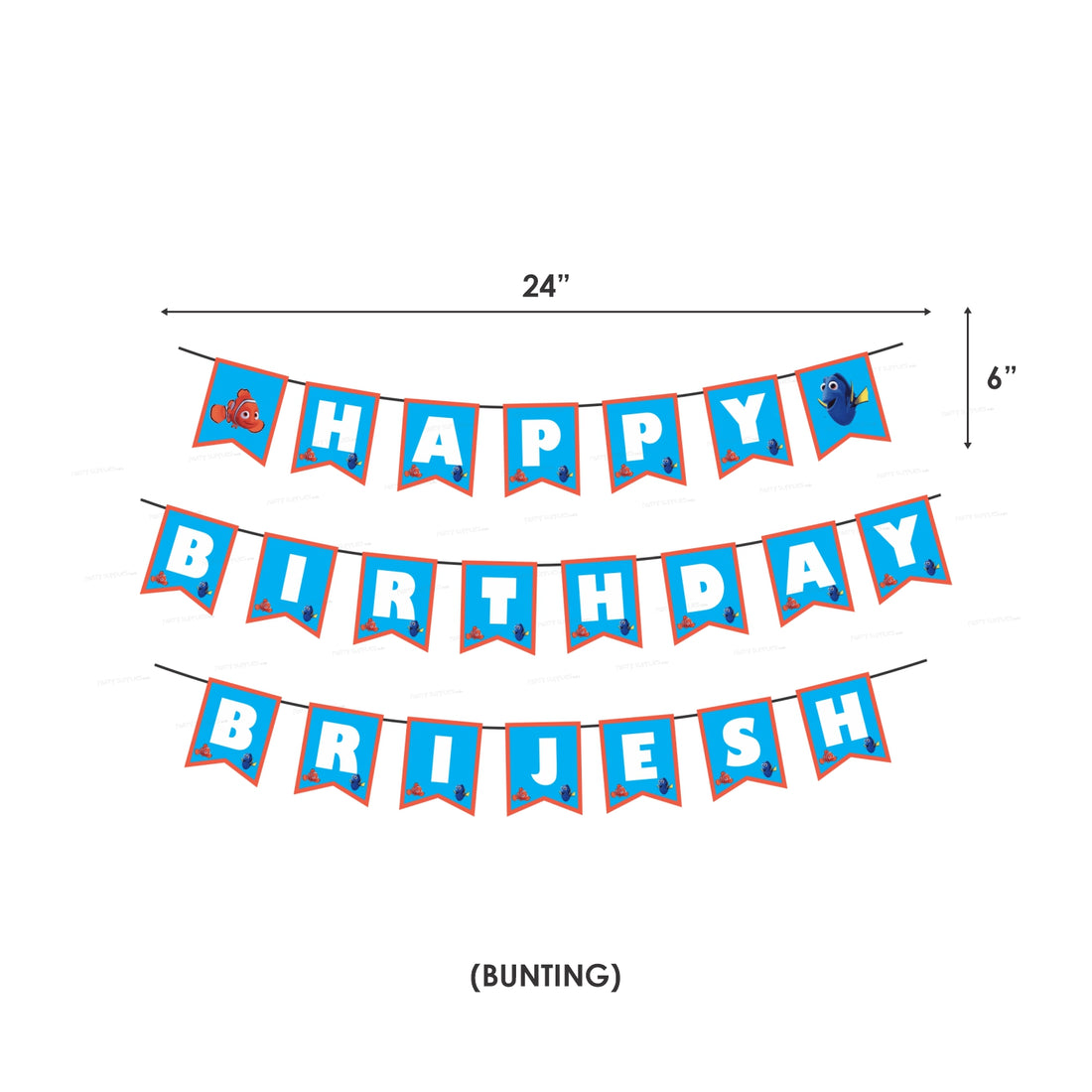 Nemo and Dory Theme Basic Kit