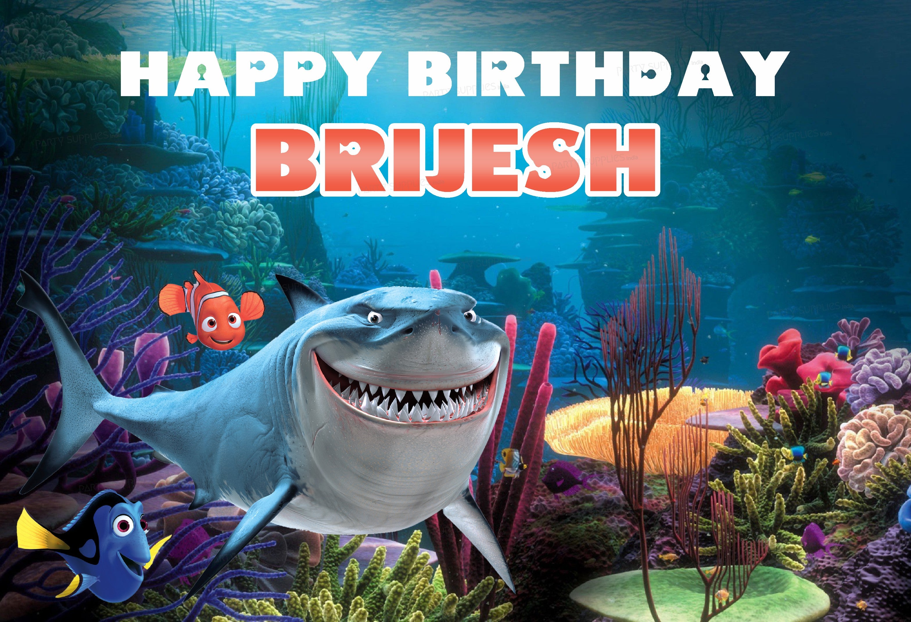 Nemo and Dory Theme Customized Backdrop