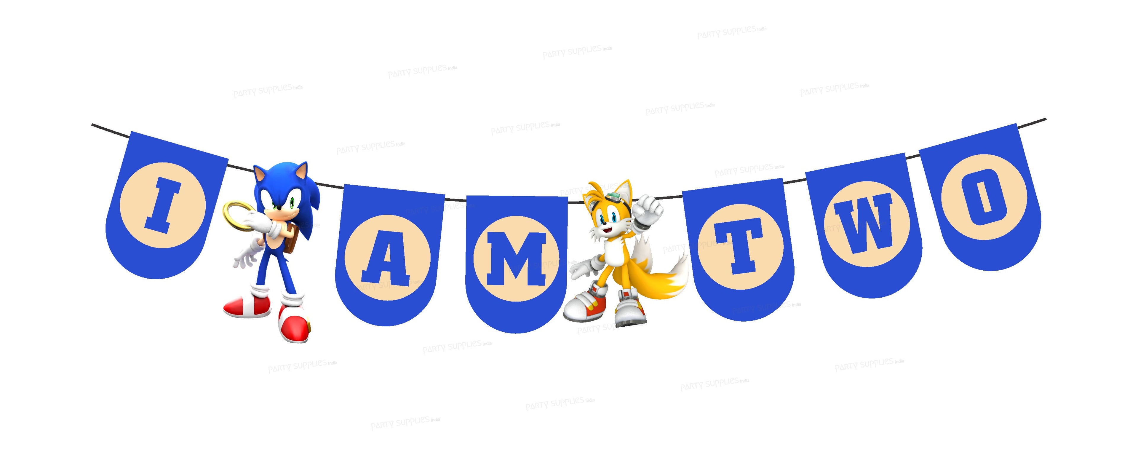Sonic the Hedgehog Theme Age Hanging