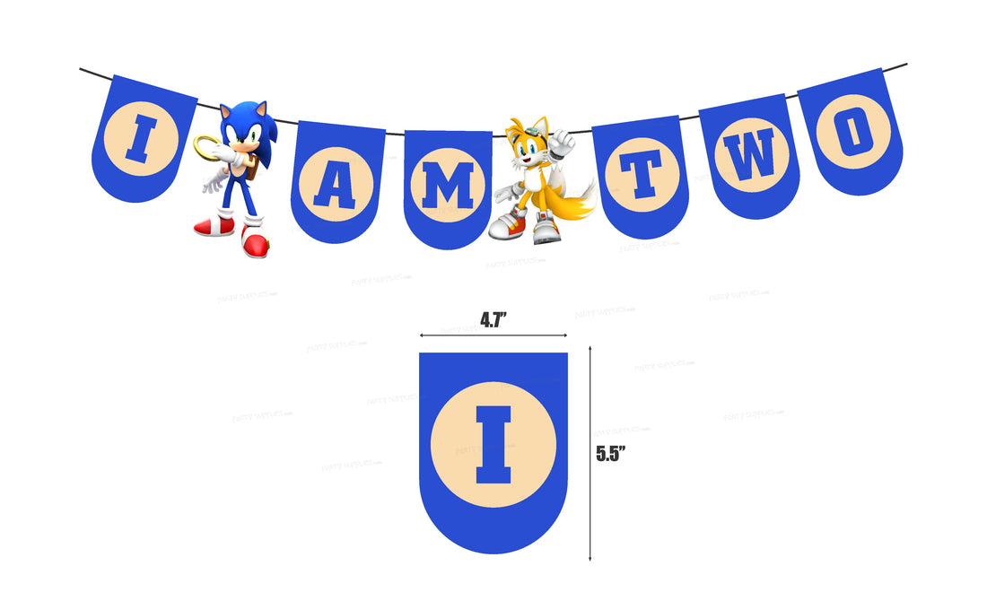 Sonic the Hedgehog Theme Age Hanging
