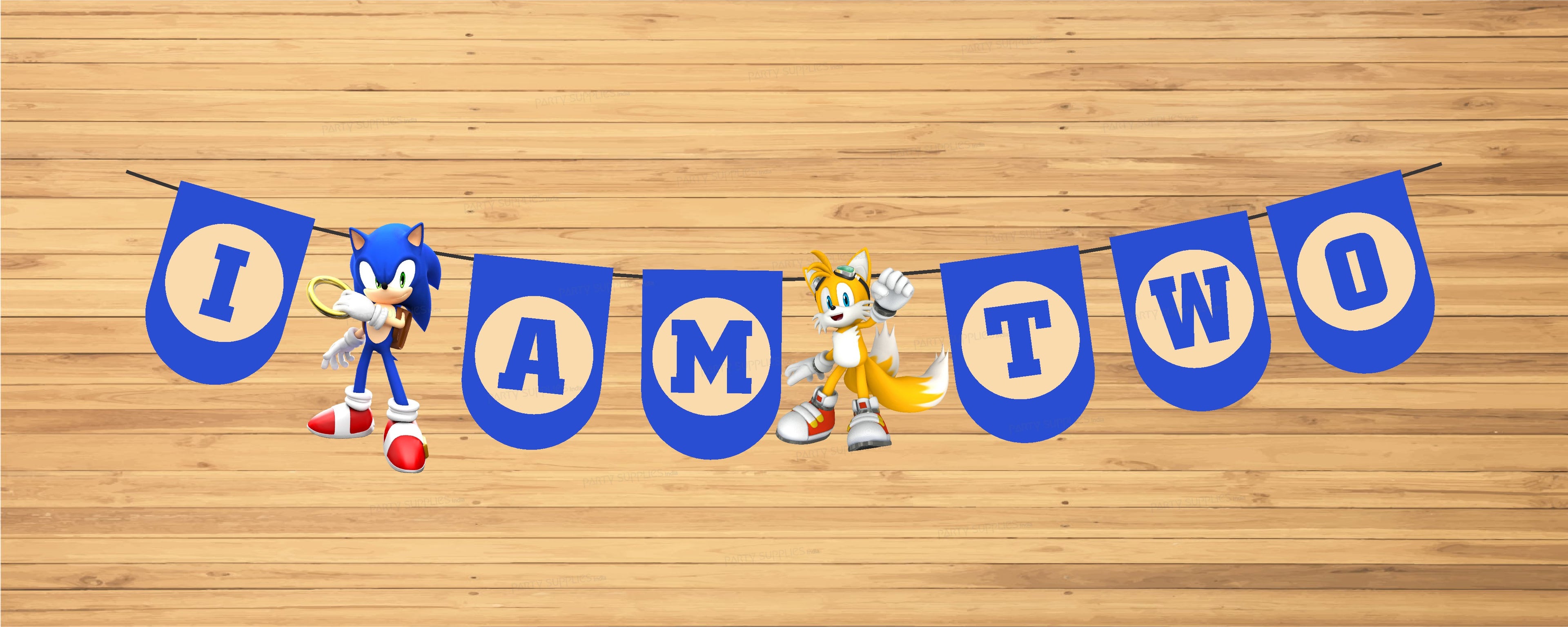 Sonic the Hedgehog Theme Age Hanging