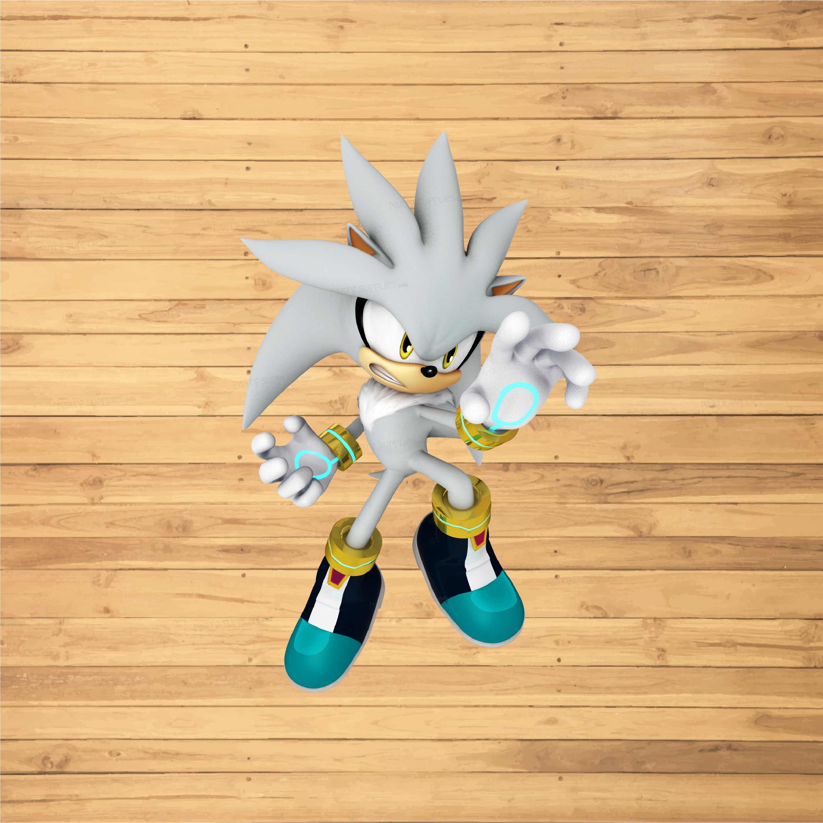 SONIC THE HEDGEHOG THEME Cutout STH-04