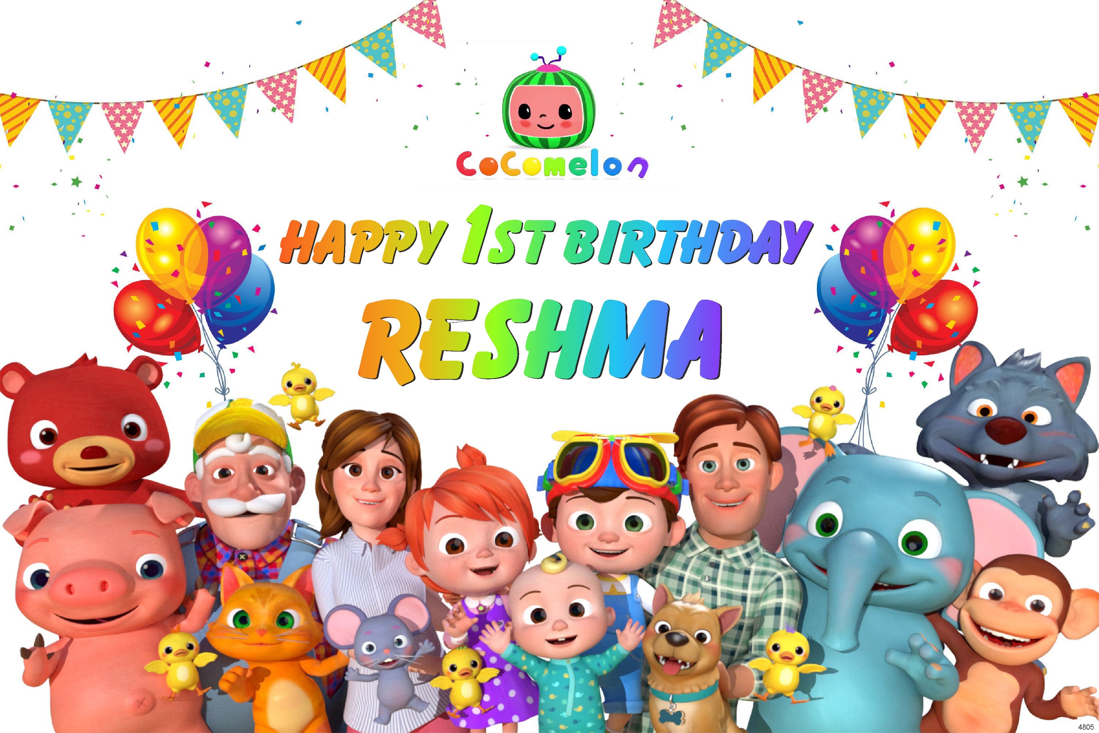 Coco Melon Theme Girl Personalized Backdrop