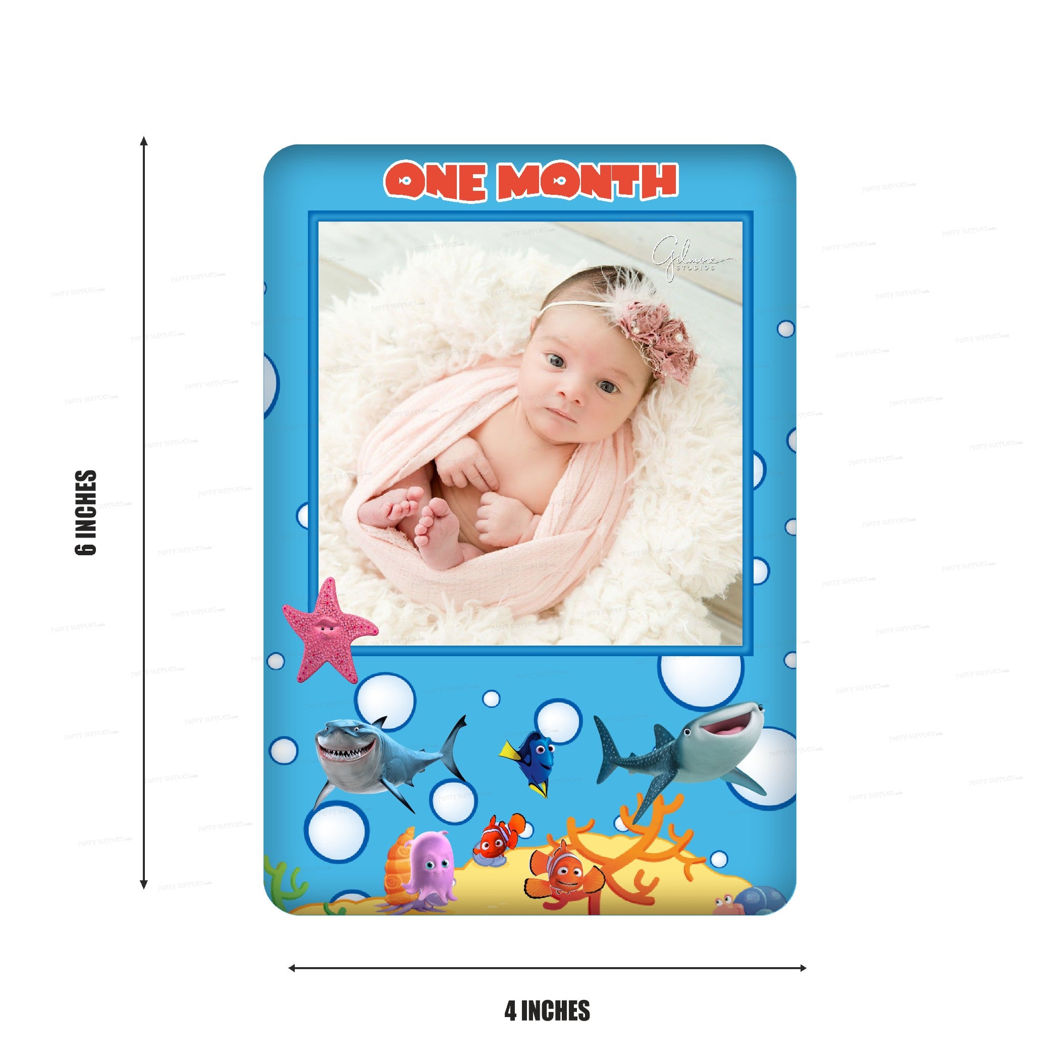 Nemo and Dory Theme 12 Months Photo Banner