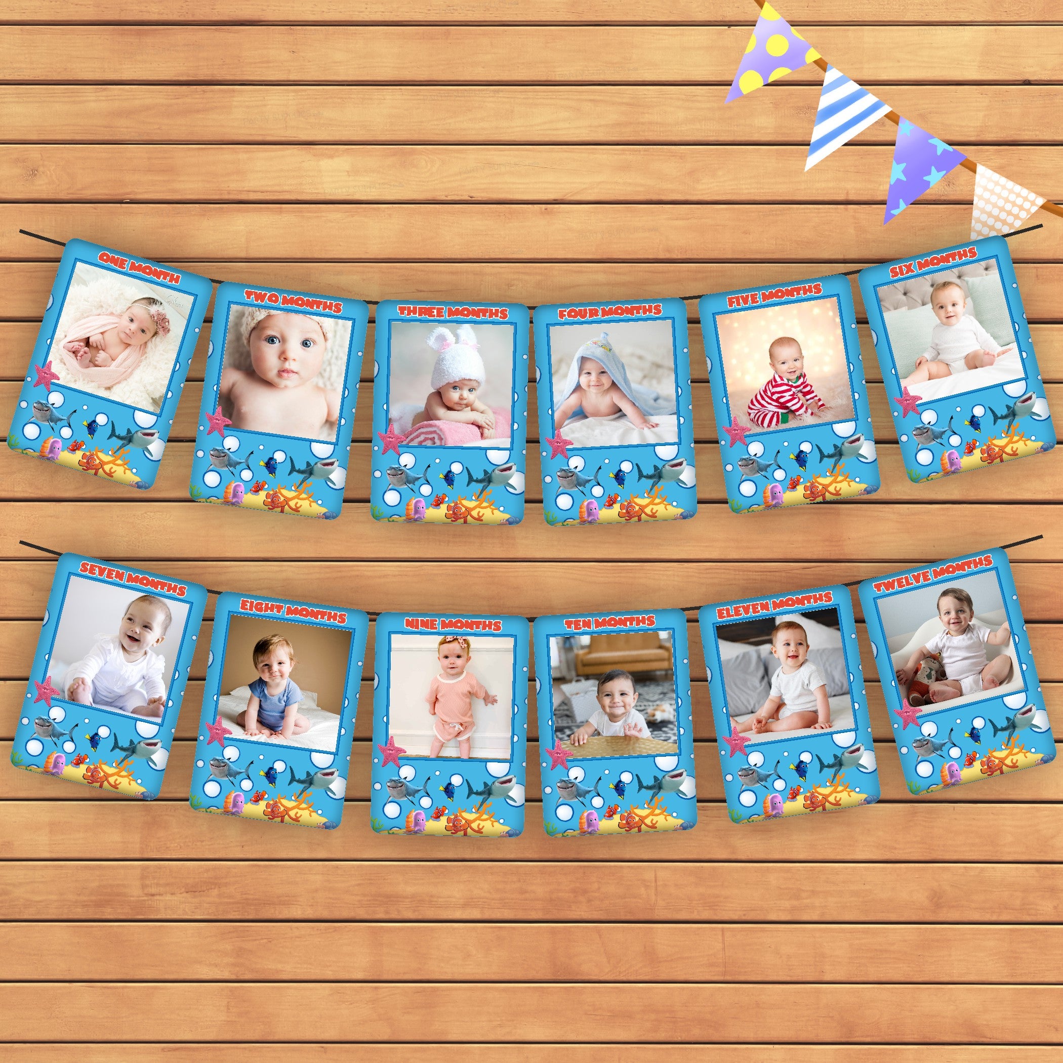 Nemo and Dory Theme 12 Months Photo Banner