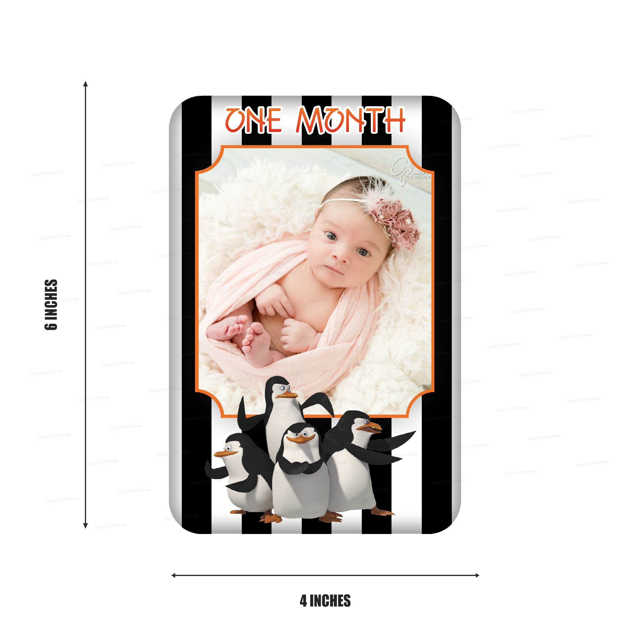 Penguin Theme 12 Months Photo Banner