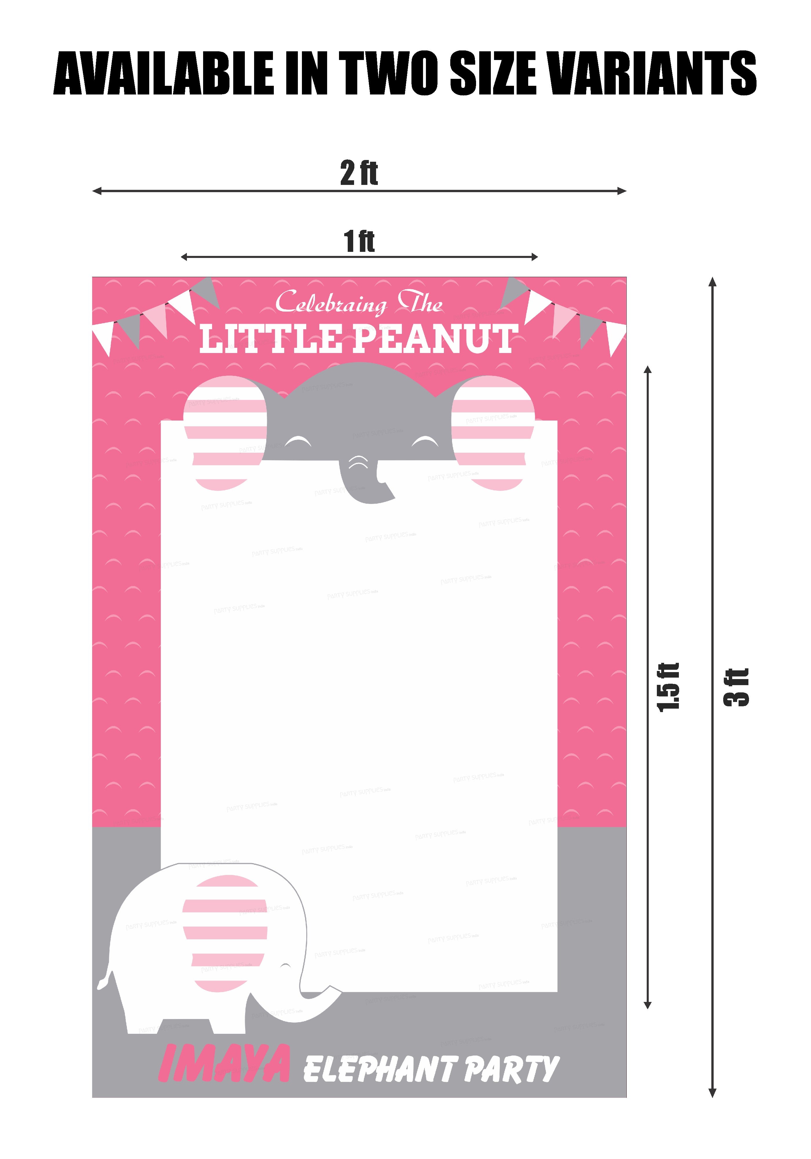 Pink Elephant Theme Photobooth