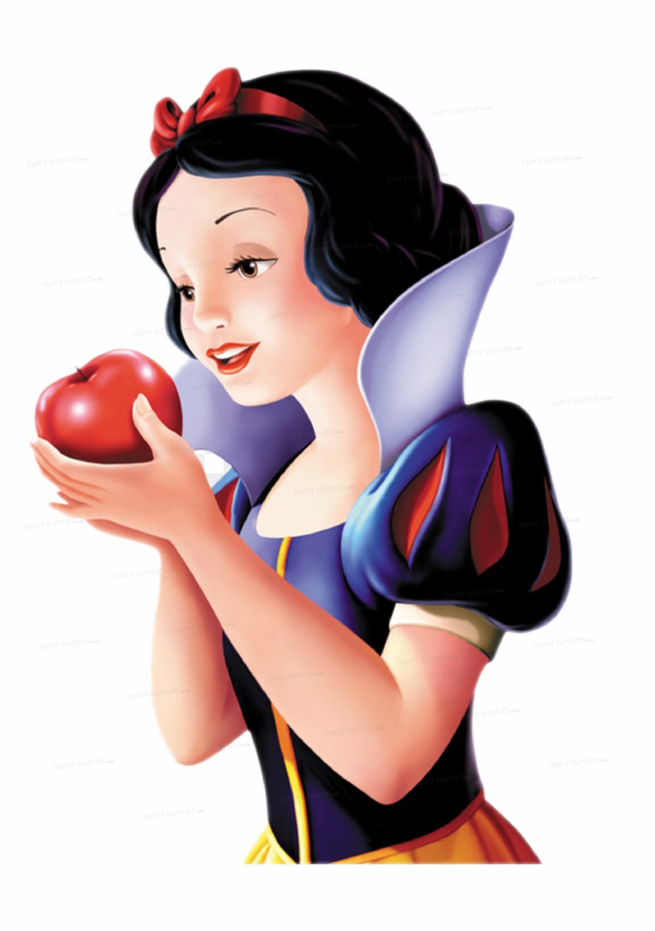 Snow And White Theme Cutout SNW-02