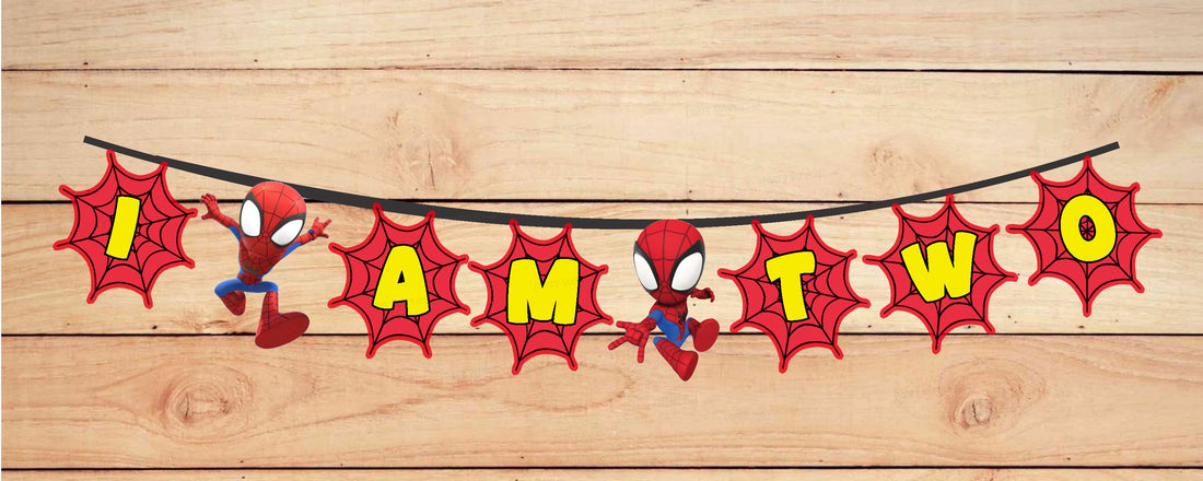 Spidey and his Amazing Friends Theme Age Hanging