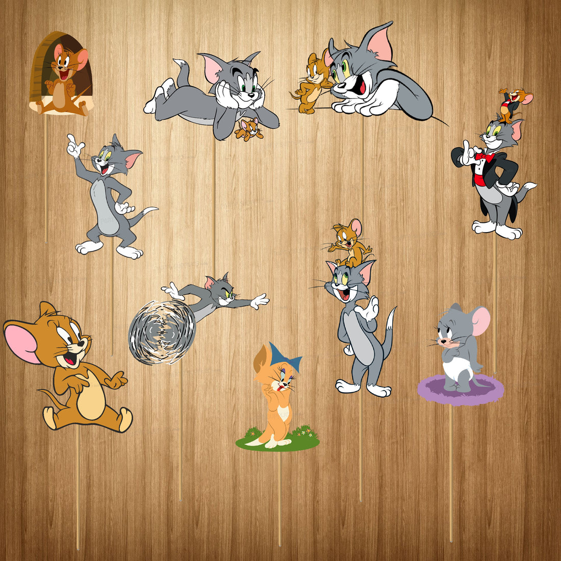 Tom & Jerry Theme Character Props