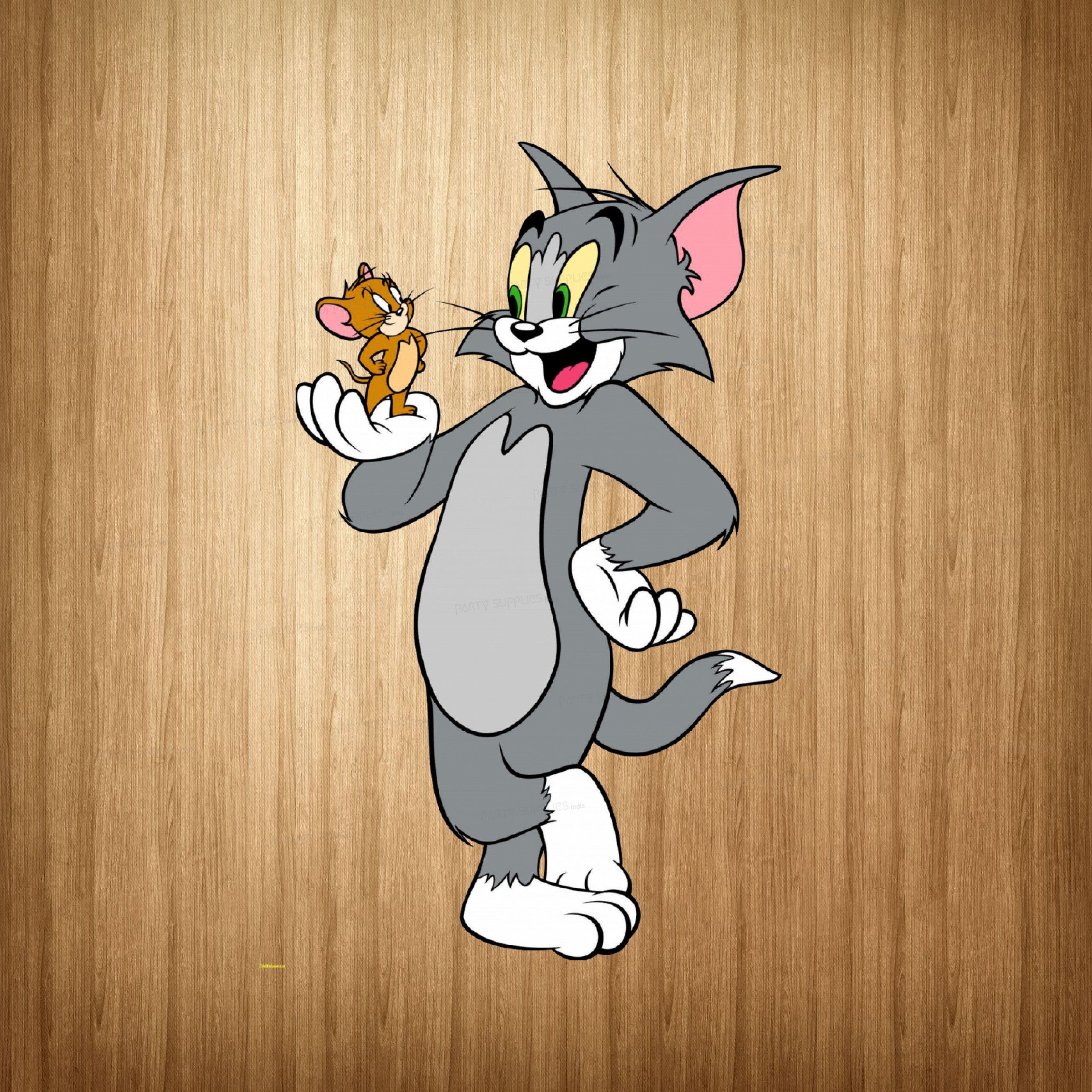 Tom & Jerry Theme Cutout TMJ-05