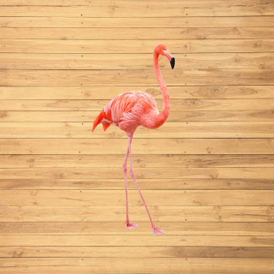 Flamingo Theme Cutout FLM-04