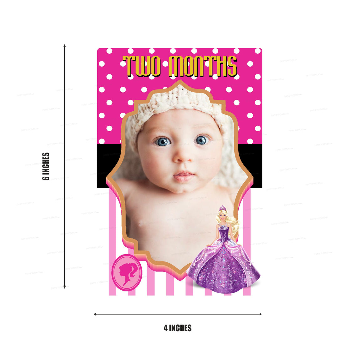Barbie Theme 12 Months Photo Banner