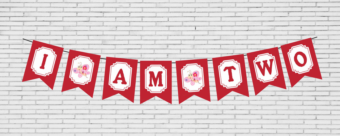 Butterfly Theme Baby Age Hanging