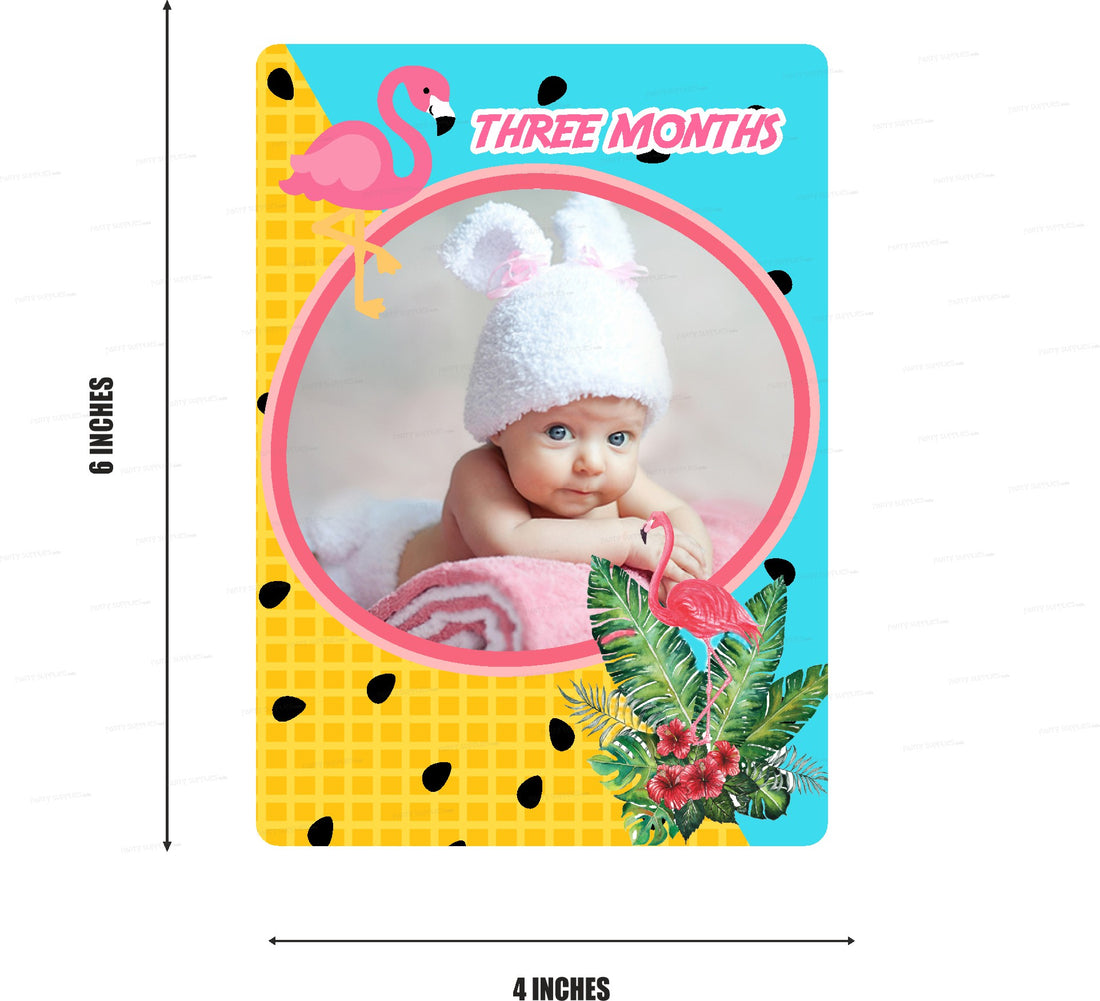 Flamingo Theme 12 Months Photo Banner