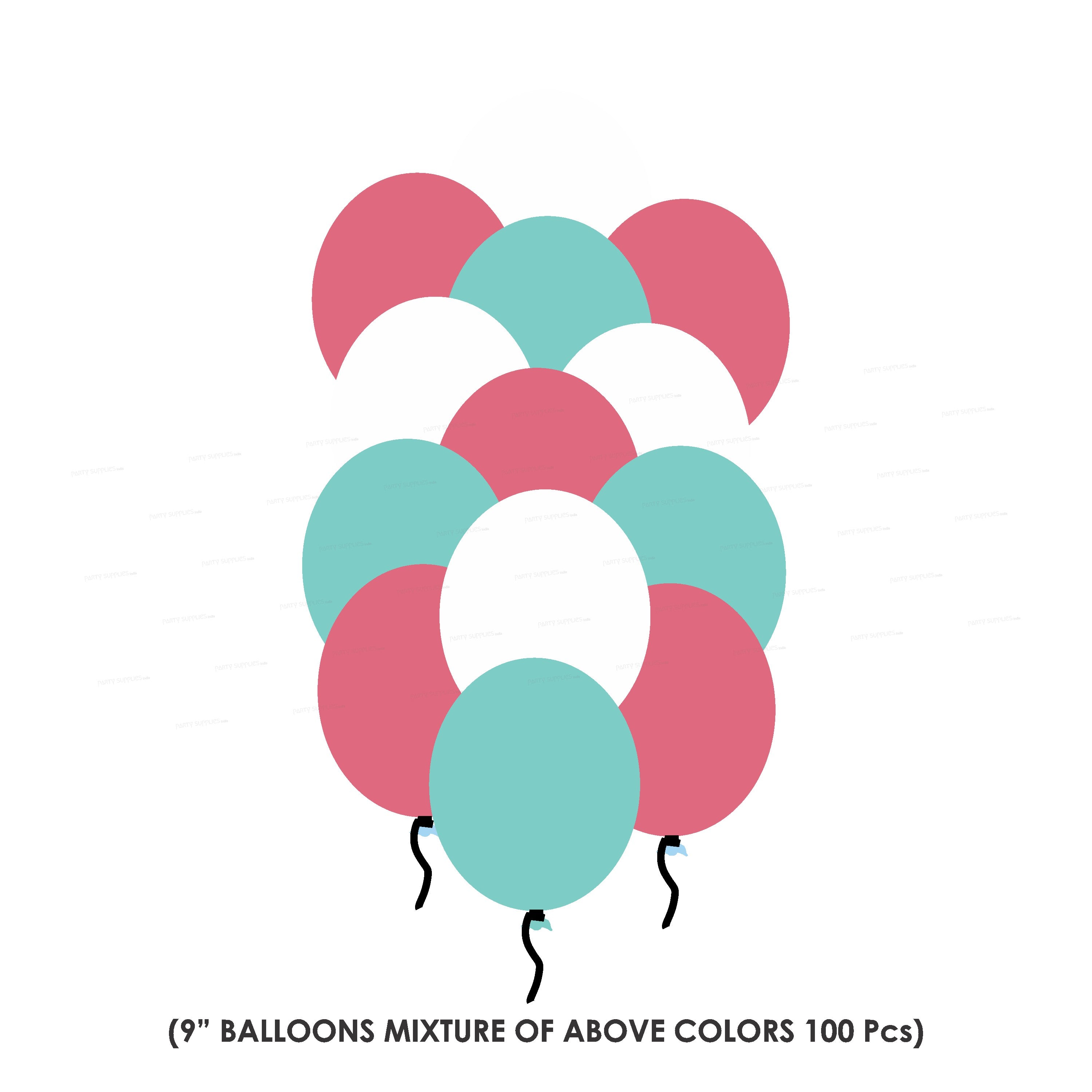 Aeroplane Theme Premium Kit