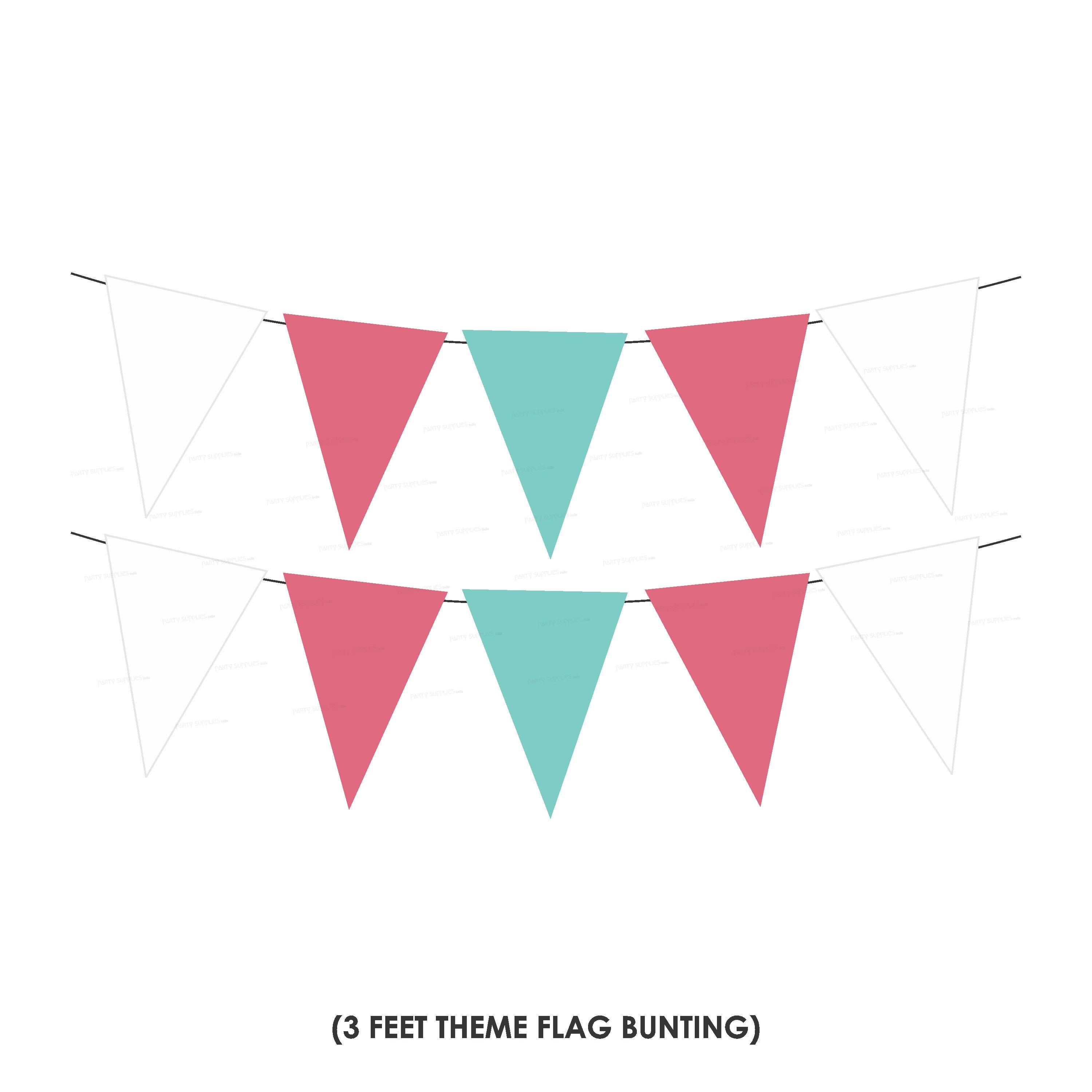 Aeroplane Theme Premium Kit