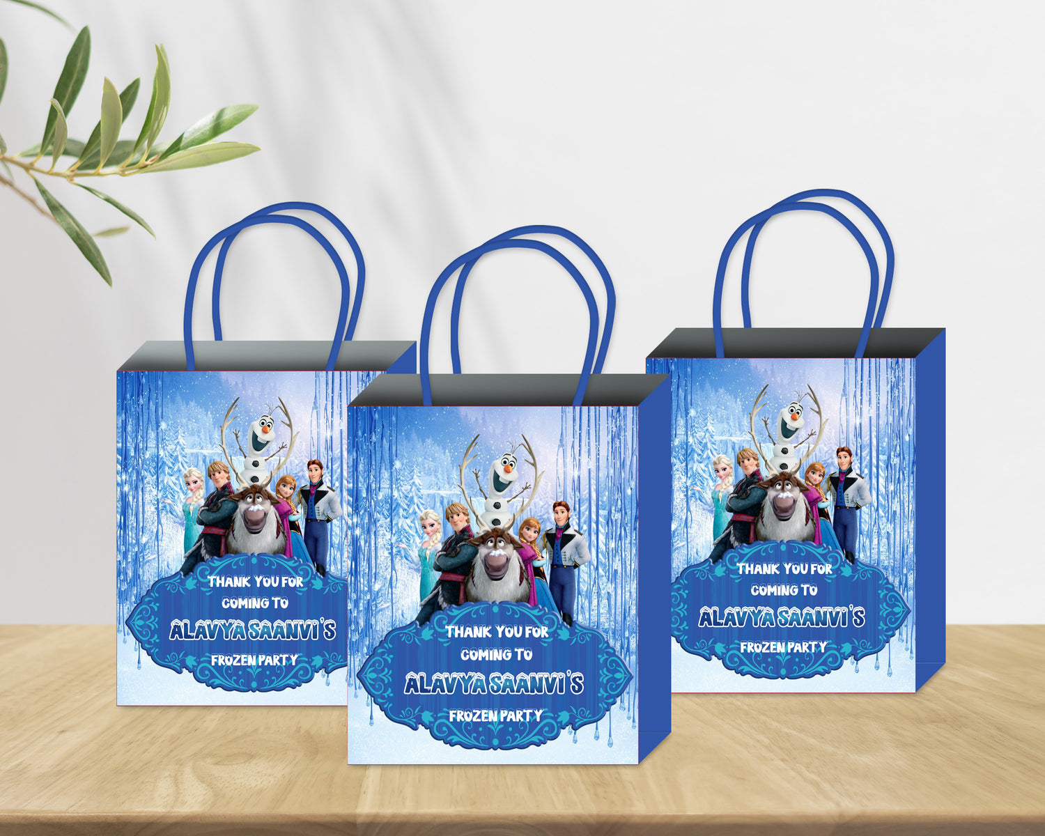Return Gift Bags