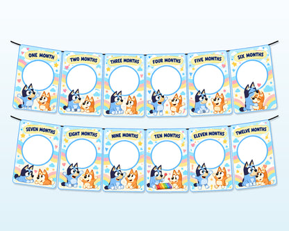 Bluey Theme 12 Months Photo Banner - showcase