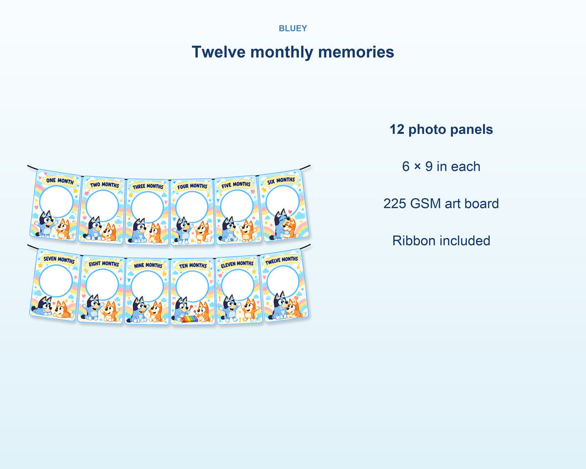 Bluey Theme 12 Months Photo Banner - product details