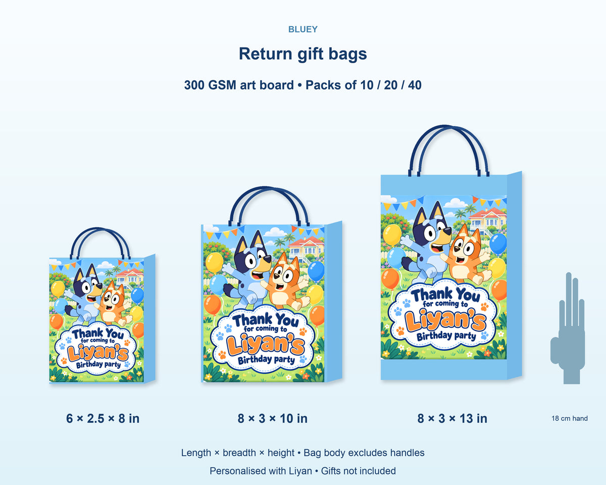 Bluey Theme Return Gift Bag - product details