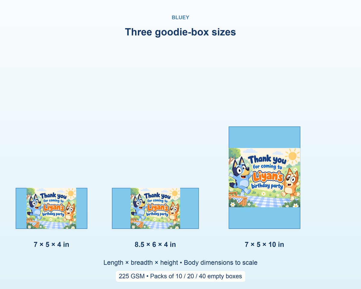Bluey Theme Goodie Return Gift Boxes - product details
