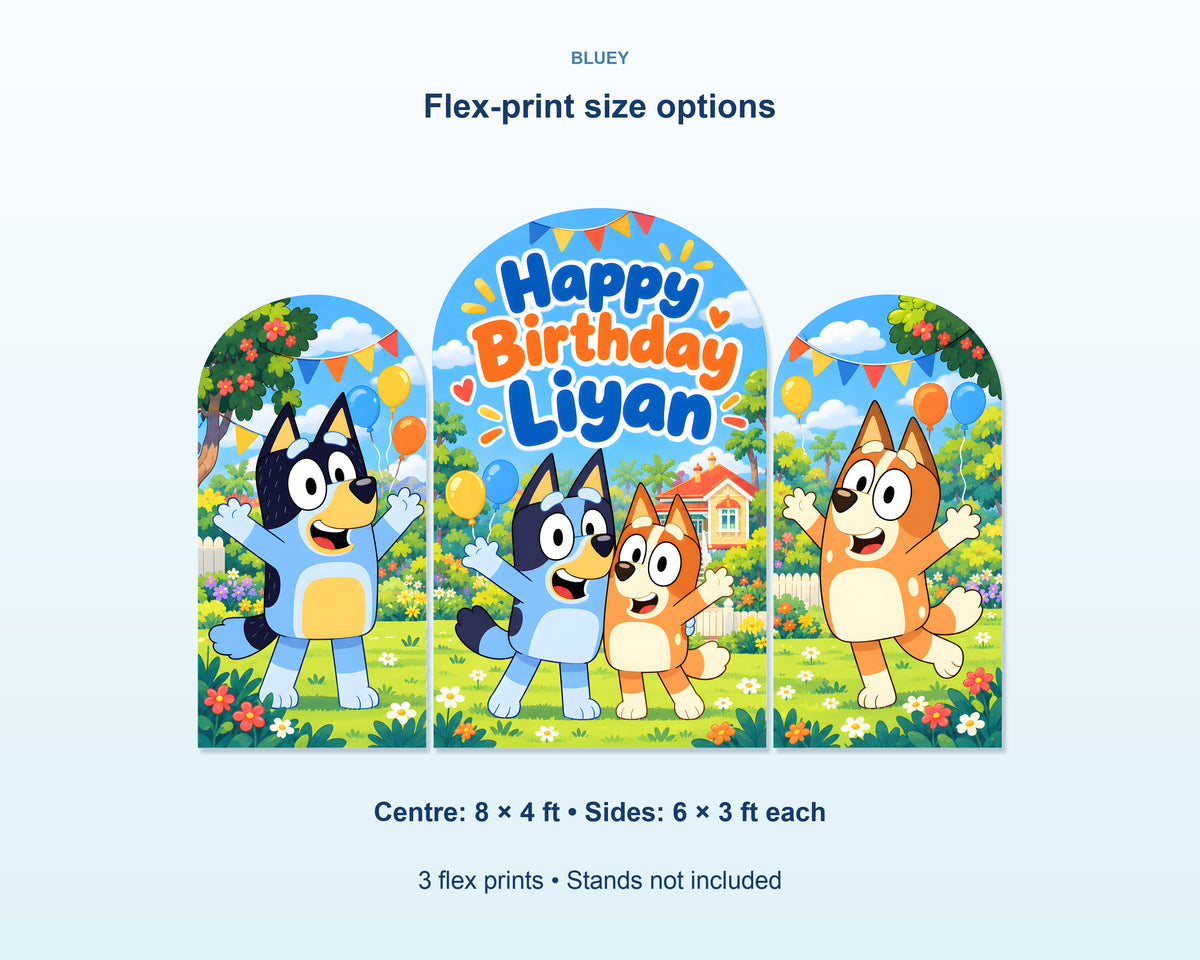 Bluey Theme Arch Backdrop - product details