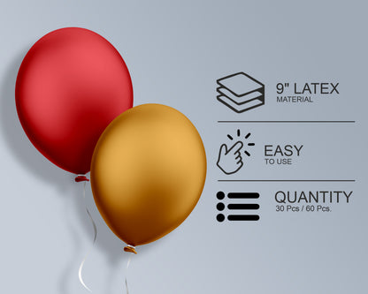 Encanto THEME COLOUR 30 PCS. BALLOONS