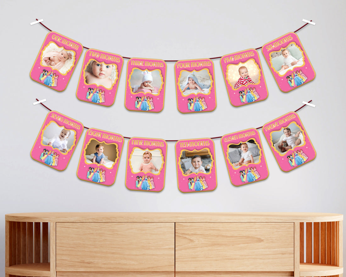 Princess Theme 12 Months Photo Banner