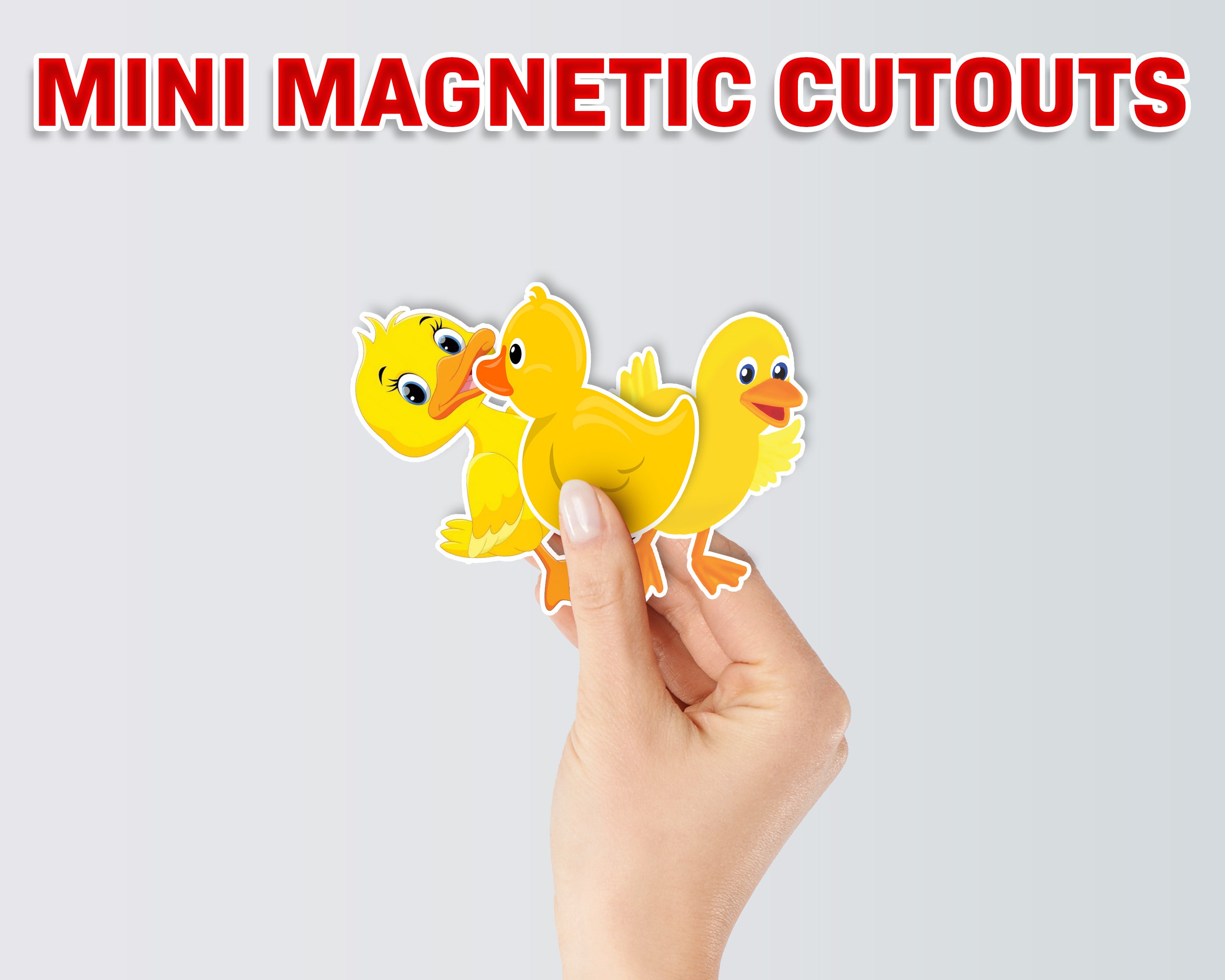 Duck Theme Mini Magnetic Return Gift Pack