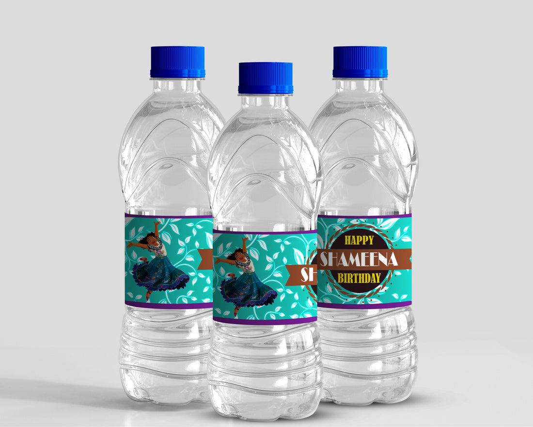 Encanto Theme Water Bottle Stickers