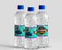 Encanto Theme Water Bottle Stickers - image 1 of 3 | Party Supplies India