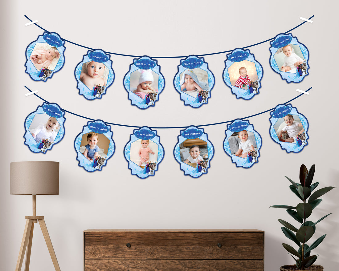 Frozen Theme 12 Months Photo Banner