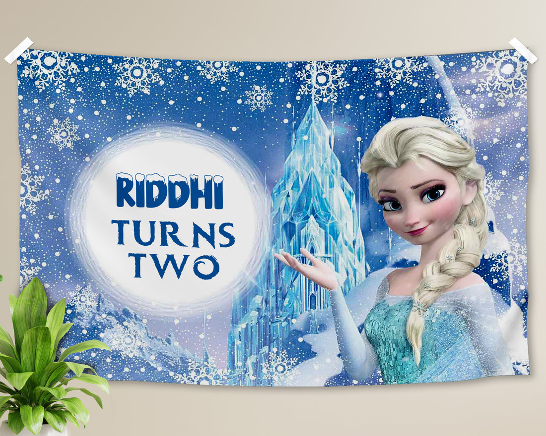 Frozen Theme Backdrop