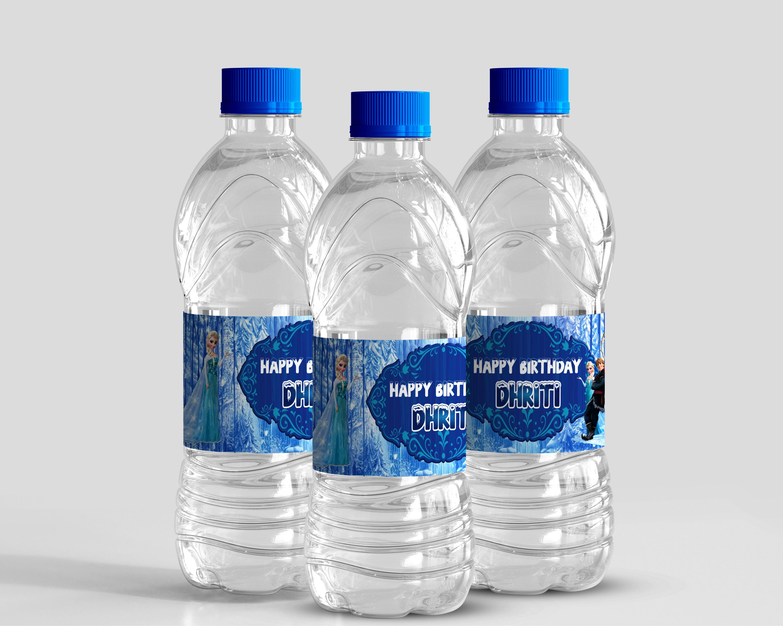 Frozen Theme Water Bottle Sticker