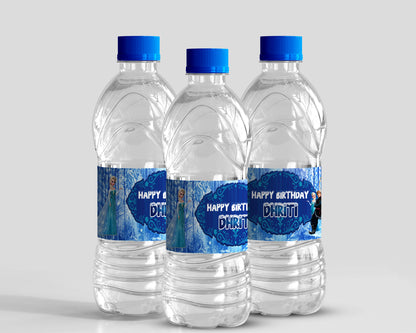 Frozen Theme Water Bottle Sticker